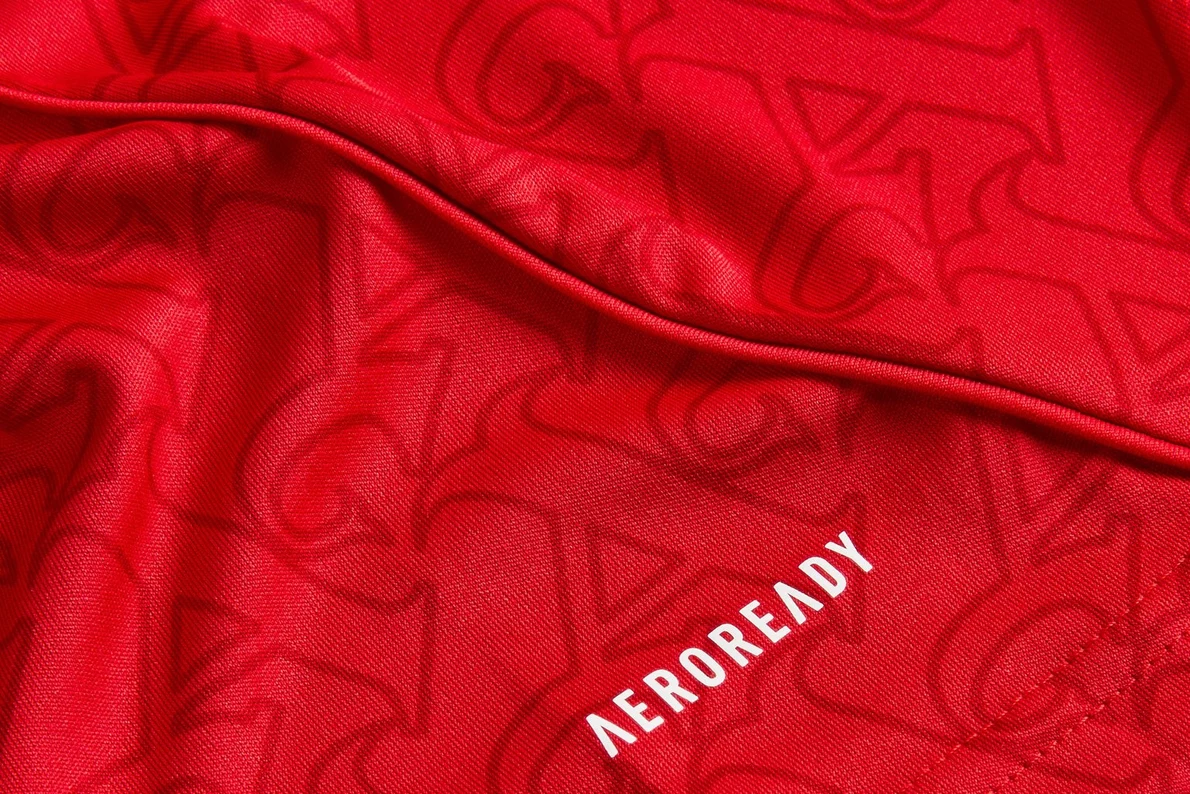 2025-26 Arsenal Player Version Kit – Official Home Jersey | Striker Store