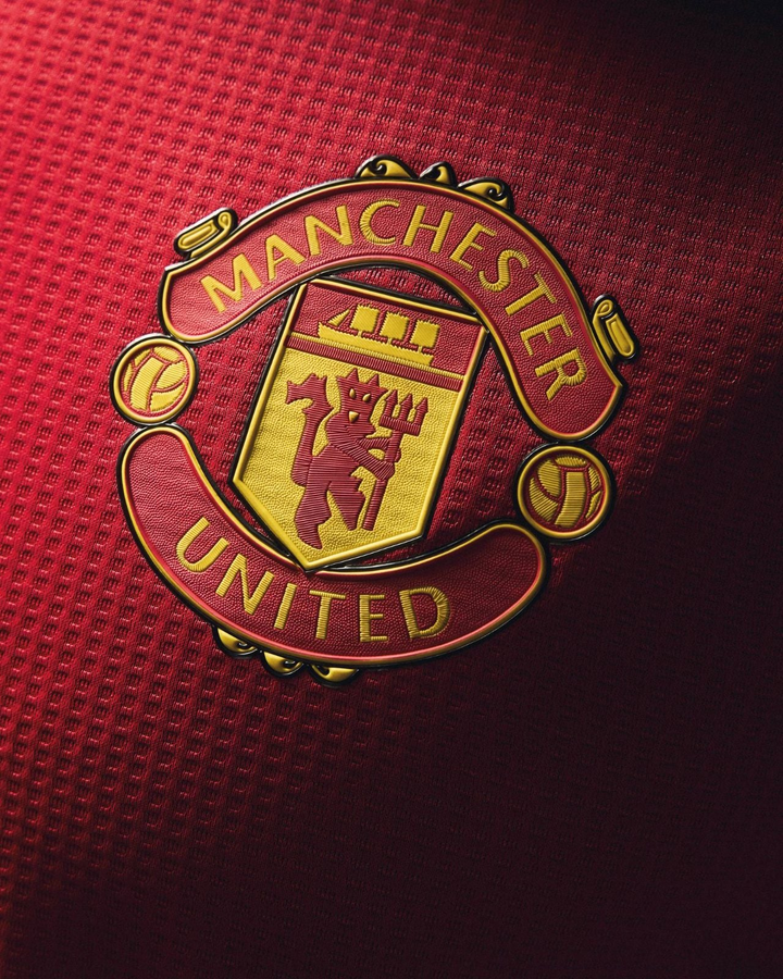 Close-up of Manchester United jersey 2024-25 logo featuring iconic crest design
